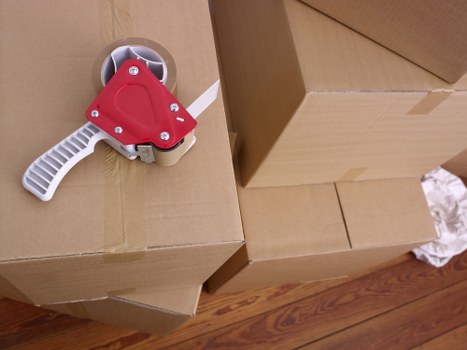 Professional moving service in Lewisham transporting household items