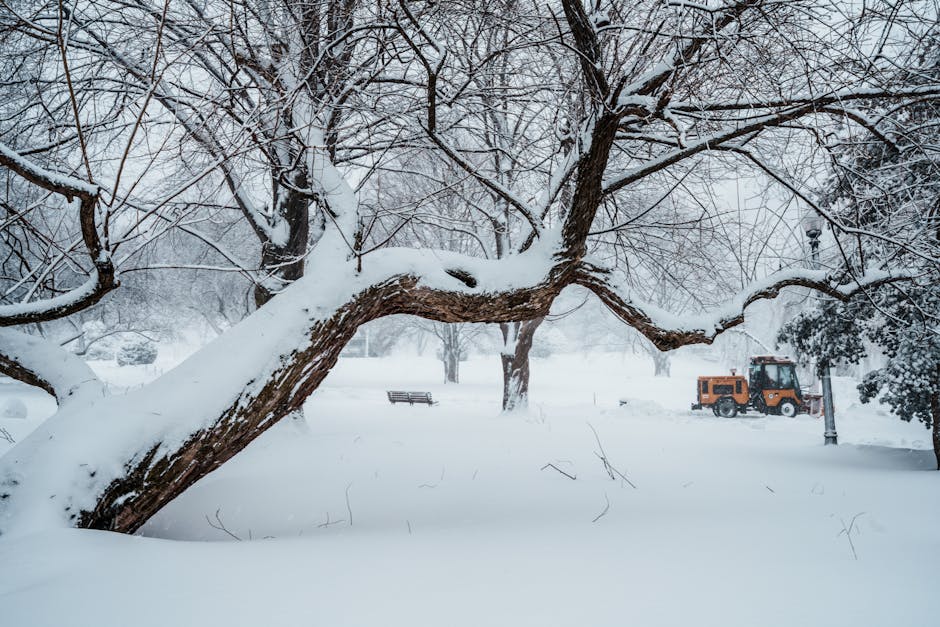 A compact snow removal vehicle equipped with a snowplow blade clearing snow from a city street during winter weather. The vehicle has a cab with a windshield and side mirrors, and is fitted with headl